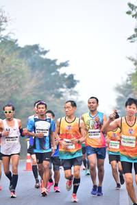 BIB: 48383, 27585, 47716
                            <button type="button" onclick="openModal(10134707)" class="btn btn-primary btn-sm float-right btn-popup" data-toggle="modal" data-target=".modal-high-quality">
                        <i class="fas fa-shopping-cart"></i> Add to Cart
                    </button>
                                            <button type="button" onclick="isThisMe(10134707, true)" class="btn btn-success btn-sm float-right btn-popup btn-isme hidden" data-toggle="tooltip" data-placement="bottom" title="นี่คือรูปของคุณใช่ไหม คลิกที่นี่เพื่อเอาเข้าอัลบั้ม">
                        <i class="fas fa-plus"></i> Add to album
                    </button>
                    <button type="button" onclick="isThisMe(10134707, false)" class="btn btn-warning btn-sm float-right btn-popup btn-isnotme hidden">
                        <i class="fas fa-ban"></i> Remove from album
                    </button>